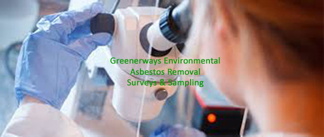 Asbestos sample testing